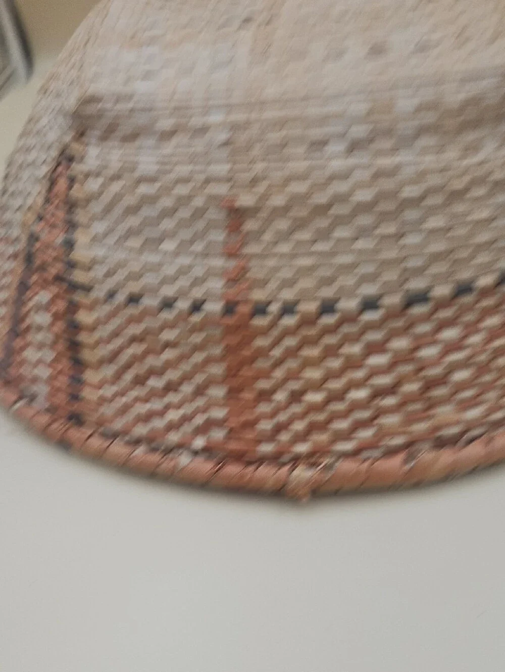 Woven Natural Basket Bowl in Neutral Tones